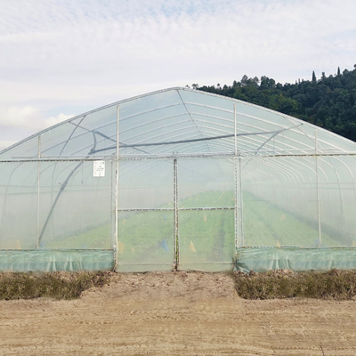 Hydroponic van de het Kaderboog van het Systeemstaal Serre van de de Film Polytunnel Plastic voor Tomaat