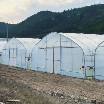 Poly UV Beschermde het Polyethyleen Plastic Groene Huizen van de Tunnel Enige Laag voor Landbouw
