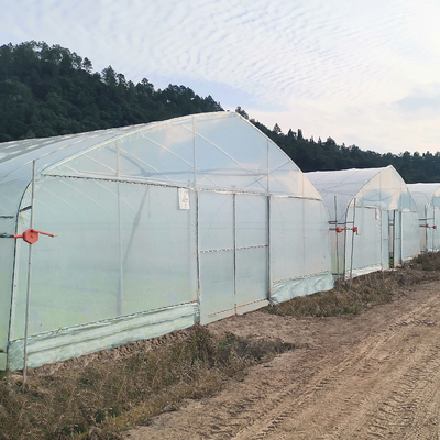 Poly UV Beschermde het Polyethyleen Plastic Groene Huizen van de Tunnel Enige Laag voor Landbouw