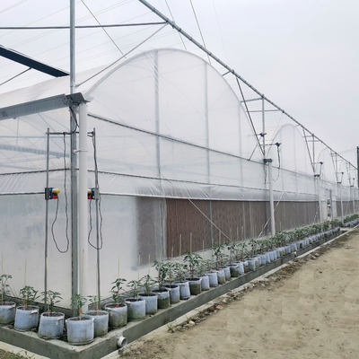 Serre van Multispan van het tomaten de Commerciële Hydroponic Systeem met de Systemen van de Klimaatcontrole