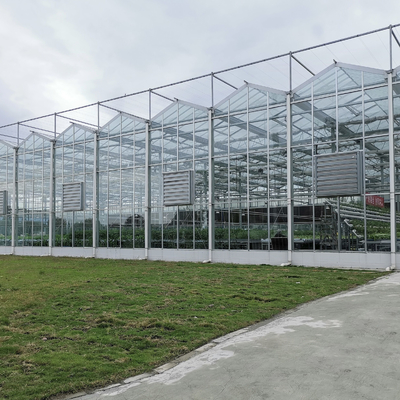 Van de Serrevervangstukken van Verwarmingssysteemserra di vetro multi-span greenhouse venlo de Serre van de het Glaswinter van Venlo