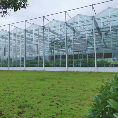 Van de Serrevervangstukken van Verwarmingssysteemserra di vetro multi-span greenhouse venlo de Serre van de het Glaswinter van Venlo