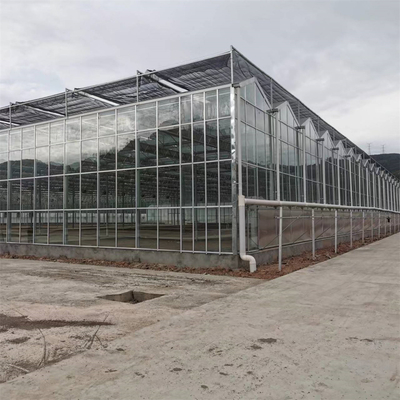 De volledige Groenten het Groeien van het de Glasvezelglas van de multi-Spanwijdteserre Landbouwserre