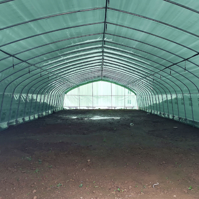 De dubbele Serre Zwart Mesh Mushroom Cultivation In Greenhouses van de Laag Enige Spanwijdte