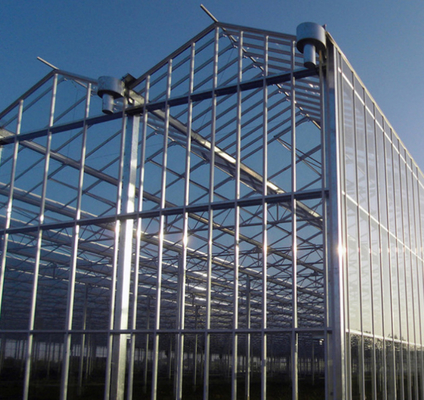 Polycarbonaat Hollow Board Glas Industrieel Buiten Multispan Glas Professionele Nederlandse Kas Voor Bloemplanting