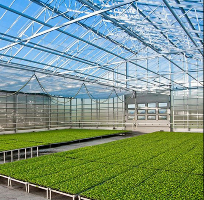 Polycarbonaat Hollow Board Glas Industrieel Buiten Multispan Glas Professionele Nederlandse Kas Voor Bloemplanting