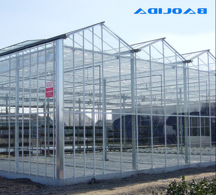 Polycarbonaat Hollow Board Glas Industrieel Buiten Multispan Glas Professionele Nederlandse Kas Voor Bloemplanting