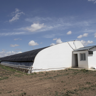 Plastic Film Solar Passive Greenhouse Met Regenwateropvangsteun