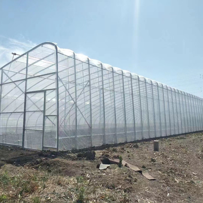 Plastic Film Solar Passive Greenhouse Met Regenwateropvangsteun