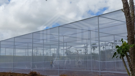 Goedkoop Lagergrootte Tropische luchtverwarming Plastic Net Rechthoekige kas met schaduwnet
