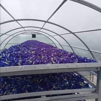 Duurzame UV-beschermde zonne-droging van viskruid met een stabiele structuur voor het drogen van planten en voedsel