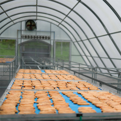 Gemakkelijk te monteren warm gegalvaniseerd stalen frame polycarbonaat zonneverfder kas met op maat gemaakte span en optionele binnen