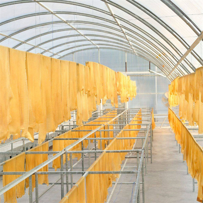 Aanpasbare polycarbonaat visdroging kas met UV-bescherming en stabiele structuur