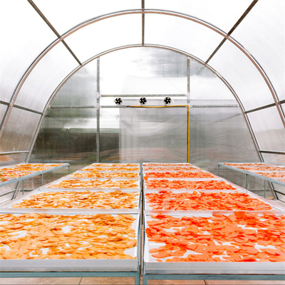 Aanpasbare polycarbonaat visdroging kas met UV-bescherming en stabiele structuur