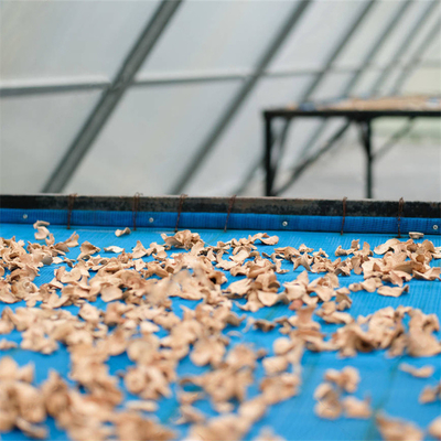 Op maat gemaakte UV-beschermde polycarbonaat zonne-droger kas met binnen buiten schaduwstelsel
