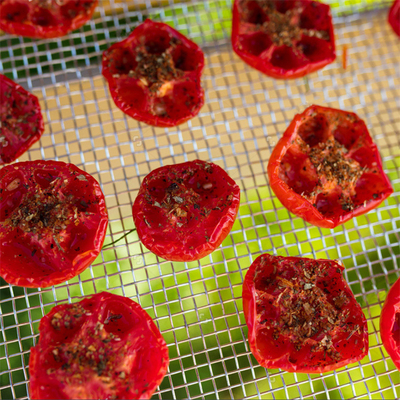 Aangepaste polycarbonaat zonne-droging kas met UV-bescherming voor het drogen van planten en voedsel