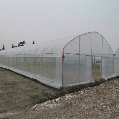 Windbestendige UV-nethuis kas Milieubeheerder Multi-span kassen