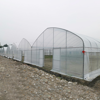 Windbestendige UV-nethuis kas Milieubeheerder Multi-span kassen