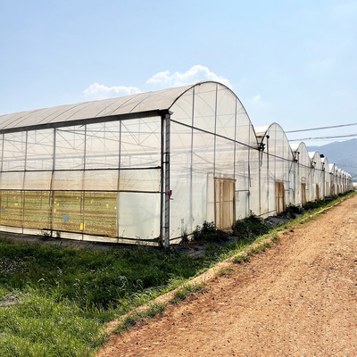 Windbestendige UV-nethuis kas Milieubeheerder Multi-span kassen