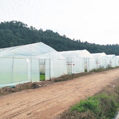 Eenlaagse Warm Plastic Film Serre Maleisië Tomaten Bloem Serre Voor de Landbouw