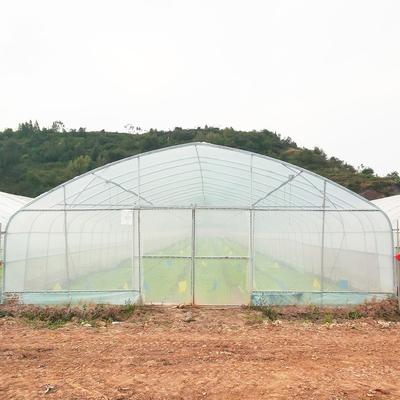 Eenlaagse Warm Plastic Film Serre Maleisië Tomaten Bloem Serre Voor de Landbouw