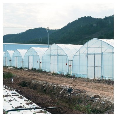 Eenlaagse Warm Plastic Film Serre Maleisië Tomaten Bloem Serre Voor de Landbouw