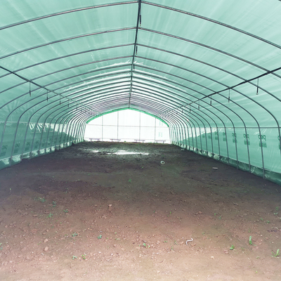 Eenlaagse Warm Plastic Film Serre Maleisië Tomaten Bloem Serre Voor de Landbouw