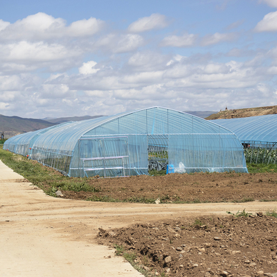 Warm verkoop Poly Tunnel aardbeien kas Landbouw Single-span kas Voor het kweken van aardbeien