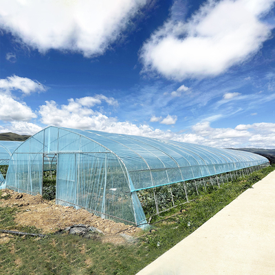 Warm verkoop Poly Tunnel aardbeien kas Landbouw Single-span kas Voor het kweken van aardbeien