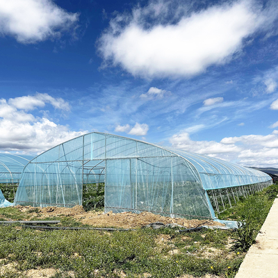 Warm verkoop Poly Tunnel aardbeien kas Landbouw Single-span kas Voor het kweken van aardbeien