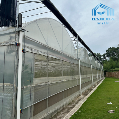 Intelligente gegalvaniseerde buis staal buis tomaten plastic film boog kas Landbouw Multi-span kas Te koop