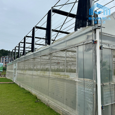 Intelligente gegalvaniseerde buis staal buis tomaten plastic film boog kas Landbouw Multi-span kas Te koop