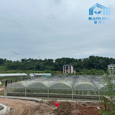 Intelligente gegalvaniseerde buis staal buis tomaten plastic film boog kas Landbouw Multi-span kas Te koop