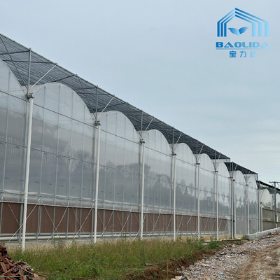 Intelligente gegalvaniseerde buis staal buis tomaten plastic film boog kas Landbouw Multi-span kas Te koop