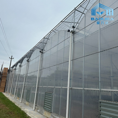 Intelligente gegalvaniseerde buis staal buis tomaten plastic film boog kas Landbouw Multi-span kas Te koop
