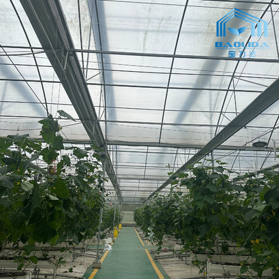 Intelligente gegalvaniseerde buis staal buis tomaten plastic film boog kas Landbouw Multi-span kas Te koop