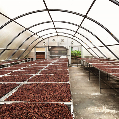 Vinnige levering 8*26 meter Single Sun Dryer kas Voedseldrogen Solar Dry Greenhouse