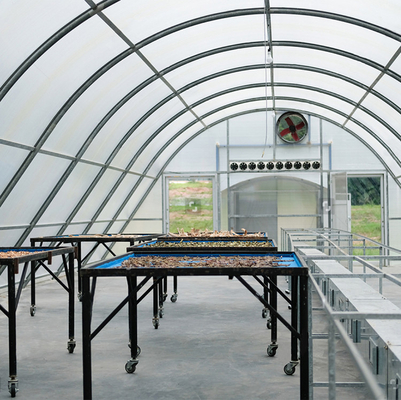 Vinnige levering 8*26 meter Single Sun Dryer kas Voedseldrogen Solar Dry Greenhouse