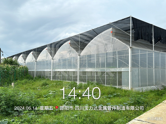 Hot Dip gegalvaniseerde staalpijp Groenhuis Groenhuis Geventileerd Plastic Zaagtand Multi-span Film Tropische Groenhuis