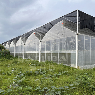 Hot Dip gegalvaniseerde staalpijp Groenhuis Groenhuis Geventileerd Plastic Zaagtand Multi-span Film Tropische Groenhuis
