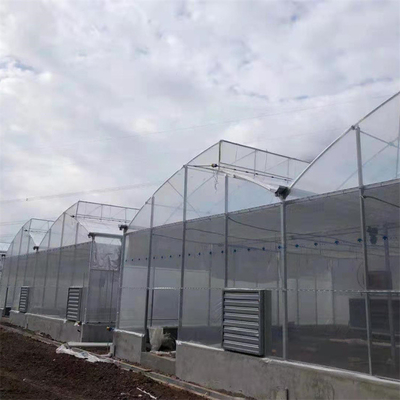 Hot Dip gegalvaniseerde staalpijp Groenhuis Groenhuis Geventileerd Plastic Zaagtand Multi-span Film Tropische Groenhuis
