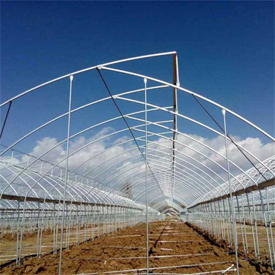 Hot Dip gegalvaniseerde staalpijp Groenhuis Groenhuis Geventileerd Plastic Zaagtand Multi-span Film Tropische Groenhuis