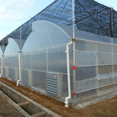 Hot Dip gegalvaniseerde staalpijp Groenhuis Groenhuis Geventileerd Plastic Zaagtand Multi-span Film Tropische Groenhuis