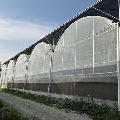 Landbouw Grote kas Metalen frame Meervoudige spanning Groenten Groeitunnel Meervoudige spanning Film kas