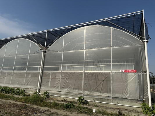Landbouw Grote kas Metalen frame Meervoudige spanning Groenten Groeitunnel Meervoudige spanning Film kas