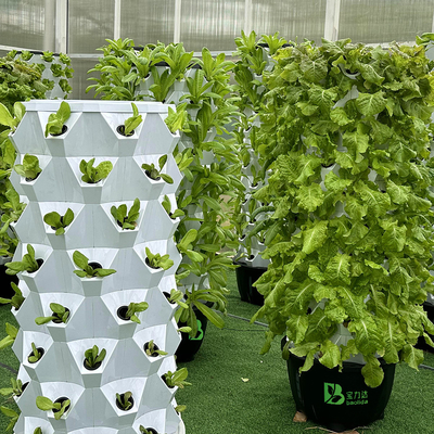 Growart Tower Hydroponic Growing System Automatische zichtbare waterleiding Ruimtebesparende ABS