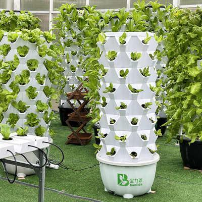 80 plantgaten Hydroponische planttoren met 1-23 uur tijd