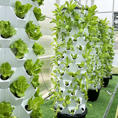 Zichtbare lijn groei lampen met 1-23 uur ((24 uur cyclus) Timer Hydroponic irrigatie systeem