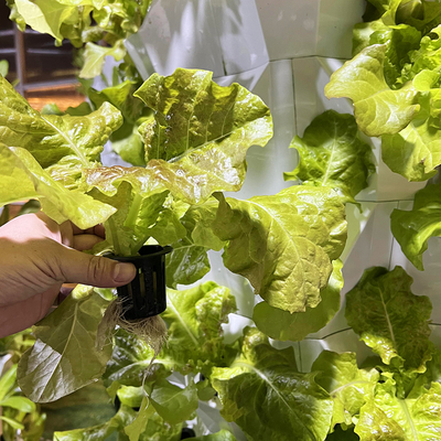 Zichtbare lijn groei lampen met 1-23 uur ((24 uur cyclus) Timer Hydroponic irrigatie systeem