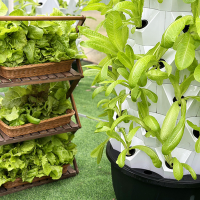 Zichtbare lijn groei lampen met 1-23 uur ((24 uur cyclus) Timer Hydroponic irrigatie systeem